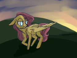 Size: 1280x970 | Tagged: safe, artist:jellybeanbullet, fluttershy, pegasus, pony, female, mare, sketch, solo