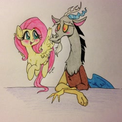 Size: 2377x2377 | Tagged: safe, artist:ameliacostanza, discord, fluttershy, pegasus, pony, discoshy, female, male, shipping, straight, traditional art