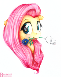 Size: 2000x2501 | Tagged: safe, artist:vird-gi, fluttershy, pegasus, pony, female, flower, flower in mouth, looking at you, mare, mouth hold, simple background, solo, traditional art, white background