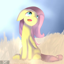 Size: 2447x2451 | Tagged: safe, artist:lasky111, fluttershy, pegasus, pony, female, floppy ears, mare, open mouth, sitting, solo