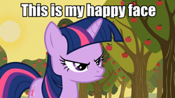 Size: 959x540 | Tagged: safe, derpibooru import, edit, edited screencap, screencap, twilight sparkle, happy face, image macro, meme, pouting, solo