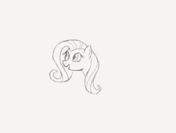 Size: 2048x1536 | Tagged: safe, artist:georgeflutts, fluttershy, pegasus, pony, monochrome, simple background, sketch, solo, traditional art