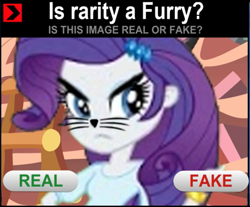 Size: 715x593 | Tagged: safe, artist:sambohhh, artist:sammifx, rarity, equestria girls, alternate universe, angry, clothes, costume, eqg promo pose set, equestria girls: the parody series, has science gone too far?, image macro, meme, real or fake, solo, unamused, upset, whiskers