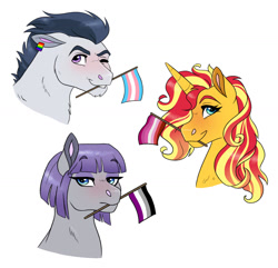 Size: 1280x1233 | Tagged: safe, artist:cascayd, maud pie, rumble, sunset shimmer, pony, asexual, asexual pride flag, ear piercing, earring, female, flag, headcanon, jewelry, lesbian, lesbian pride flag, lgbt, lgbt headcanon, male, mare, mouth hold, one eye closed, piercing, pride, pride flag, pride month, sexuality headcanon, simple background, stallion, transgender, transgender pride flag, trio