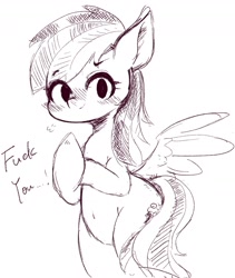 Size: 1348x1595 | Tagged: safe, artist:91o42, derpibooru import, rainbow dash, pegasus, pony, fuck you, middle finger, monochrome, simple background, sketch, solo, vulgar, white background