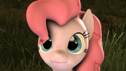Size: 400x226 | Tagged: safe, artist:ferexes, pinkie pie, earth pony, pony, 3d, 60 fps, animated, cute, diapinkes, female, grass, mare, o3o3o, open mouth, scrunchy face, smiling, solo, source filmmaker, vibrating, youtube link