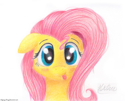 Size: 1280x1031 | Tagged: safe, artist:lollipony, fluttershy, pegasus, pony, blushing, cute, female, looking at you, mare, shyabetes, simple background, solo, tongue out, traditional art, white background