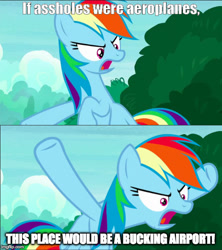 Size: 500x564 | Tagged: safe, derpibooru import, edit, edited screencap, screencap, rainbow dash, pegasus, pony, angry, comic, episode needed, female, flying, frown, glare, impact font, mare, meme, screencap comic, solo, spread wings, vulgar, wide eyes, wings