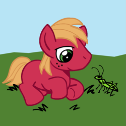 Size: 945x945 | Tagged: safe, artist:megasweet, big macintosh, earth pony, pony, colt, colt big macintosh, foal, grasshopper, male, prone, solo, younger