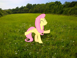 Size: 2592x1944 | Tagged: safe, artist:makenshi179, artist:moongazeponies, fluttershy, dancing, field, grass field, irl, photo, ponies in real life, solo, tree, vector