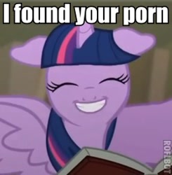 Size: 250x255 | Tagged: safe, derpibooru import, twilight sparkle, twilight sparkle (alicorn), alicorn, pony, castle mane-ia, book, female, image macro, mare, meme, porn, smiling, solo