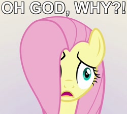 Size: 500x450 | Tagged: safe, edit, edited screencap, screencap, fluttershy, pegasus, pony, party pooped, caption, disturbed, hair over one eye, image macro, reaction image, solo, upset, why