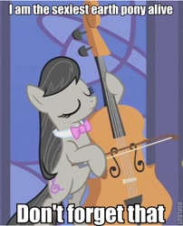 Size: 390x482 | Tagged: safe, edit, edited screencap, screencap, octavia melody, earth pony, pony, the best night ever, cello, eyes closed, female, image macro, mare, meme, musical instrument, reaction image, sexiest pony alive, solo