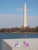 Size: 2592x3456 | Tagged: safe, artist:wordturner, derpibooru import, rarity, twilight sparkle, irl, photo, ponies around the world, toy, washington d.c., washington monument