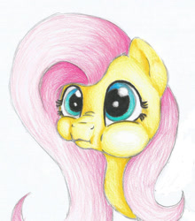 Size: 1098x1245 | Tagged: safe, artist:girlscoutdragon, fluttershy, pegasus, pony, bust, portrait, puffy cheeks, solo, traditional art