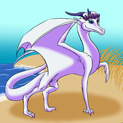 Size: 2000x2000 | Tagged: safe, artist:vchart920, rarity, dragon, beach, dragonified, raridragon, solo, species swap