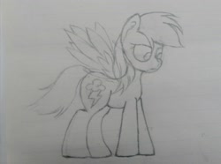 Size: 3178x2368 | Tagged: safe, artist:twinblade edge, derpibooru import, rainbow dash, pegasus, pony, lined paper, monochrome, solo, spread wings, traditional art, wings