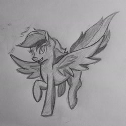 Size: 2048x2048 | Tagged: safe, artist:honeybeepony, derpibooru import, rainbow dash, pegasus, pony, sketch, traditional art