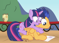 Size: 1050x770 | Tagged: safe, artist:dm29, derpibooru import, flash sentry, owlowiscious, twilight sparkle, twilight sparkle (alicorn), alicorn, pony, book, female, flashlight, male, mare, reading, shipping, sitting on, straight