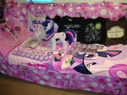 Size: 1264x952 | Tagged: safe, derpibooru import, twilight sparkle, collection, jin, photo, waifu