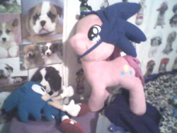 Size: 640x480 | Tagged: safe, artist:princessshannon07, pinkie pie, pony, classic sonic, crossover, hat, irl, photo, plushie, sonic the hedgehog, sonic the hedgehog (series)