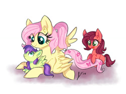 Size: 1024x768 | Tagged: safe, artist:dreamscapevalley, fluttershy, oc, oc:apple luv, oc:blossom, pegasus, pony, alternate hairstyle, female, fluttermom, mother and child, mother and daughter, offspring, parent and child, parent:big macintosh, parent:fluttershy, parents:fluttermac, ponytail