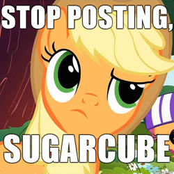 Size: 540x540 | Tagged: safe, screencap, applejack, earth pony, pony, image macro, impact font, it's time to stop posting, meme, sugarcube