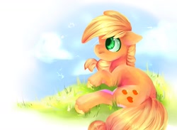 Size: 1282x938 | Tagged: safe, artist:baid-woo, applejack, earth pony, pony, blonde mane, female, mare, missing accessory, orange coat, solo