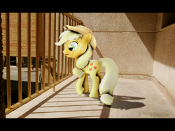 Size: 1024x768 | Tagged: safe, artist:moonight118, applejack, 3d, building, irl, ledge, photo, ponies in real life, shadow, solo, source filmmaker, street