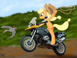 Size: 2048x1536 | Tagged: safe, artist:aagun, applejack, duck, earth pony, pony, lasso, motorcycle, solo