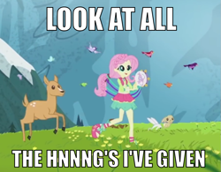 Size: 893x695 | Tagged: safe, edit, screencap, angel bunny, fluttershy, bird, deer, rabbit, equestria girls, friendship through the ages, clothes, cute, dress, fawn, folk fluttershy, meadow, meme, musical instrument, rockin' hair, shyabetes, solo, tambourine, the sound of music