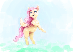 Size: 3508x2480 | Tagged: safe, artist:sharpieboss, fluttershy, pegasus, pony, female, high res, mare, solo