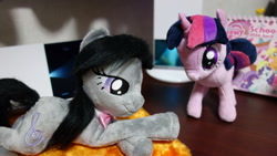 Size: 1472x829 | Tagged: artist needed, safe, derpibooru import, octavia melody, twilight sparkle, earth pony, pony, irl, photo, plushie