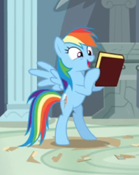 Size: 327x410 | Tagged: safe, derpibooru import, screencap, rainbow dash, pegasus, pony, daring don't, bipedal, book, cropped, excited, female, holding, mare, open mouth, smiling, spread wings, wings