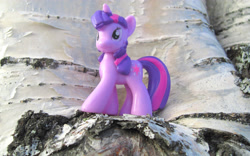 Size: 4036x2520 | Tagged: safe, artist:eurocoin, derpibooru import, twilight sparkle, irl, photo, solo, toy