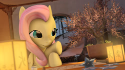 Size: 1920x1080 | Tagged: safe, artist:mentore067, fluttershy, pegasus, pony, 3d, bonsai, japanese, shuriken, solo