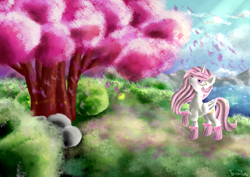 Size: 3507x2480 | Tagged: safe, artist:frozentear7, princess celestia, alicorn, pony, cherry blossoms, clothes, forest, melancholy, pink-mane celestia, princess, scenery, socks, solo, tree, younger