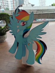 Size: 720x960 | Tagged: safe, derpibooru import, photographer:hailblitz, rainbow dash, pegasus, pony, cardboard cutout, smiling, smirk, thailand, thailand ponycon 2019, thaiponycon