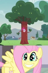 Size: 491x746 | Tagged: safe, fluttershy, pinkie pie, equestria girls, friendship games, pinkie spy (short), meme, tree