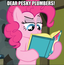 Size: 742x762 | Tagged: safe, pinkie pie, earth pony, pony, book, hotel mario, image macro, meme, solo, youtube poop in the comments