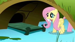 Size: 1280x720 | Tagged: safe, screencap, fluttershy, fish, pegasus, pony, dragonshy, bridge, dead, grin, mouth hold, smiling, solo, water