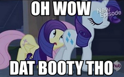 Size: 641x400 | Tagged: safe, screencap, fluttershy, rarity, pegasus, pony, unicorn, booty had me like, dat booty, female, flarity, image macro, lesbian, meme, shipping, tell me your secrets