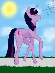 Size: 772x1034 | Tagged: safe, artist:jordynthekiller, derpibooru import, twilight sparkle, incorrect leg anatomy, solo