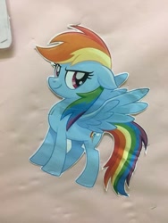 Size: 720x960 | Tagged: safe, derpibooru import, rainbow dash, pegasus, pony, female, irl, mare, photo, solo