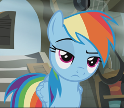 Size: 1027x896 | Tagged: safe, derpibooru import, screencap, rainbow dash, pegasus, pony, the lost treasure of griffonstone, are you kidding me, cropped, displeased, female, folded wings, frown, griffonstone, lidded eyes, looking at someone, magenta eyes, mare, multicolored mane, multicolored tail, narrowed eyes, rainbow dash is not amused, raised eyebrow, shop, solo, unamused