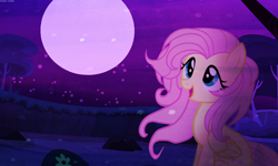 Size: 1500x900 | Tagged: safe, artist:asika-aida, fluttershy, pegasus, pony, female, mare, night, solo