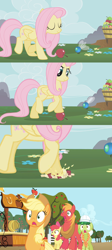 Size: 640x1428 | Tagged: safe, screencap, apple bloom, applejack, big macintosh, fluttershy, granny smith, earth pony, parasprite, pegasus, pony, swarm of the century, the super speedy cider squeezy 6000, apple, apple family, male, stallion