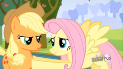 Size: 640x360 | Tagged: safe, screencap, applejack, fluttershy, earth pony, pegasus, pony, cute, puffy cheeks