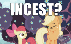 Size: 610x376 | Tagged: safe, edit, edited screencap, screencap, apple bloom, applejack, earth pony, pony, caption, female, filly, image macro, incest, mare, meme, wink