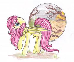 Size: 2516x2104 | Tagged: safe, artist:schizoidtomii, fluttershy, pegasus, pony, colored, crying, female, mare, sad, solo, traditional art, wings